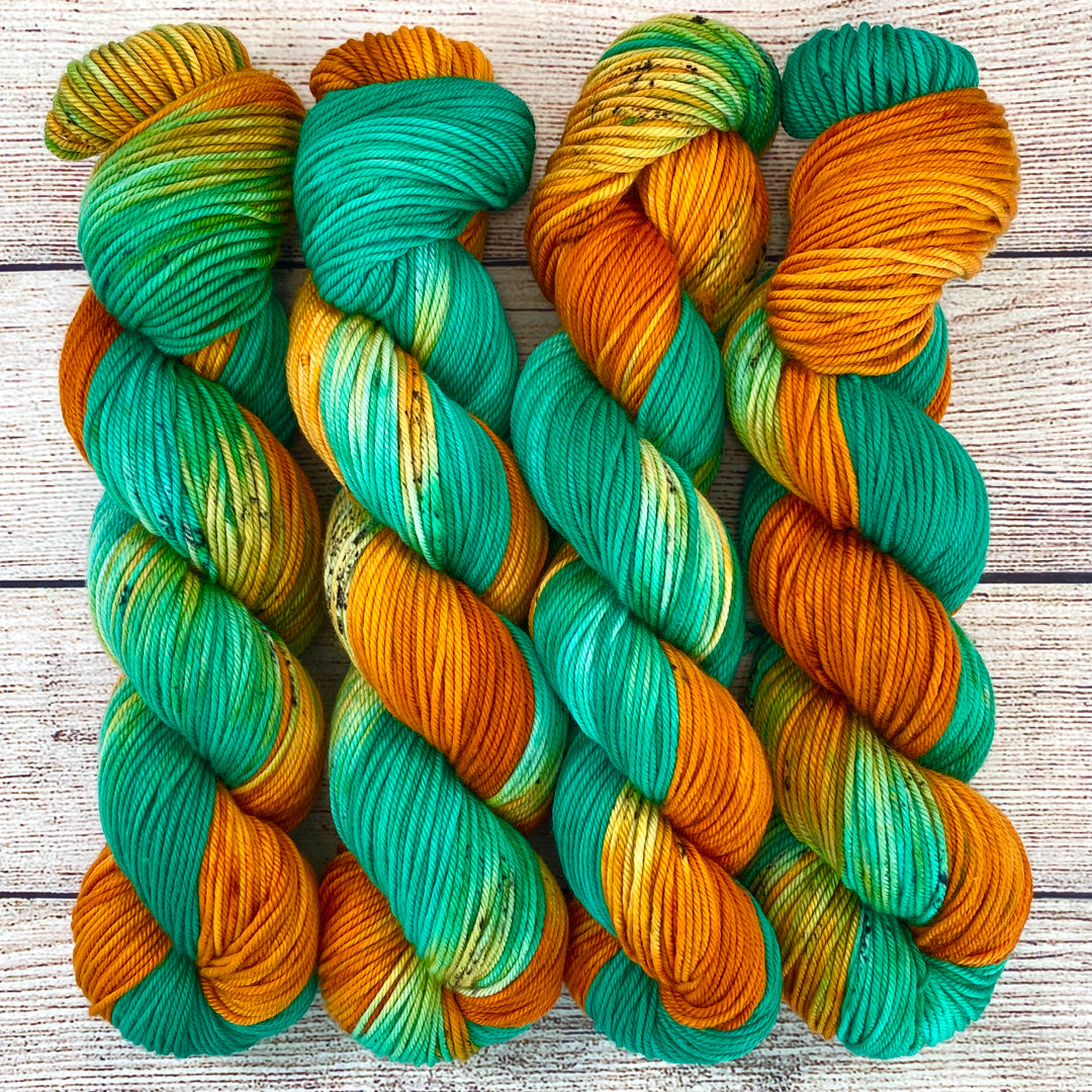 Broadmoor Worsted - Giddy Up!